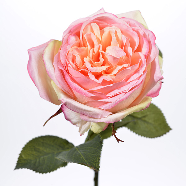Rose spray