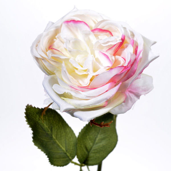 Rose spray