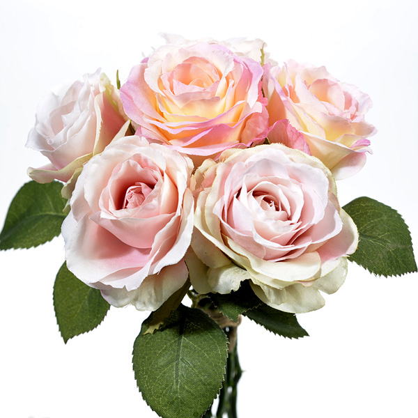 Rose x6 - stem x2
