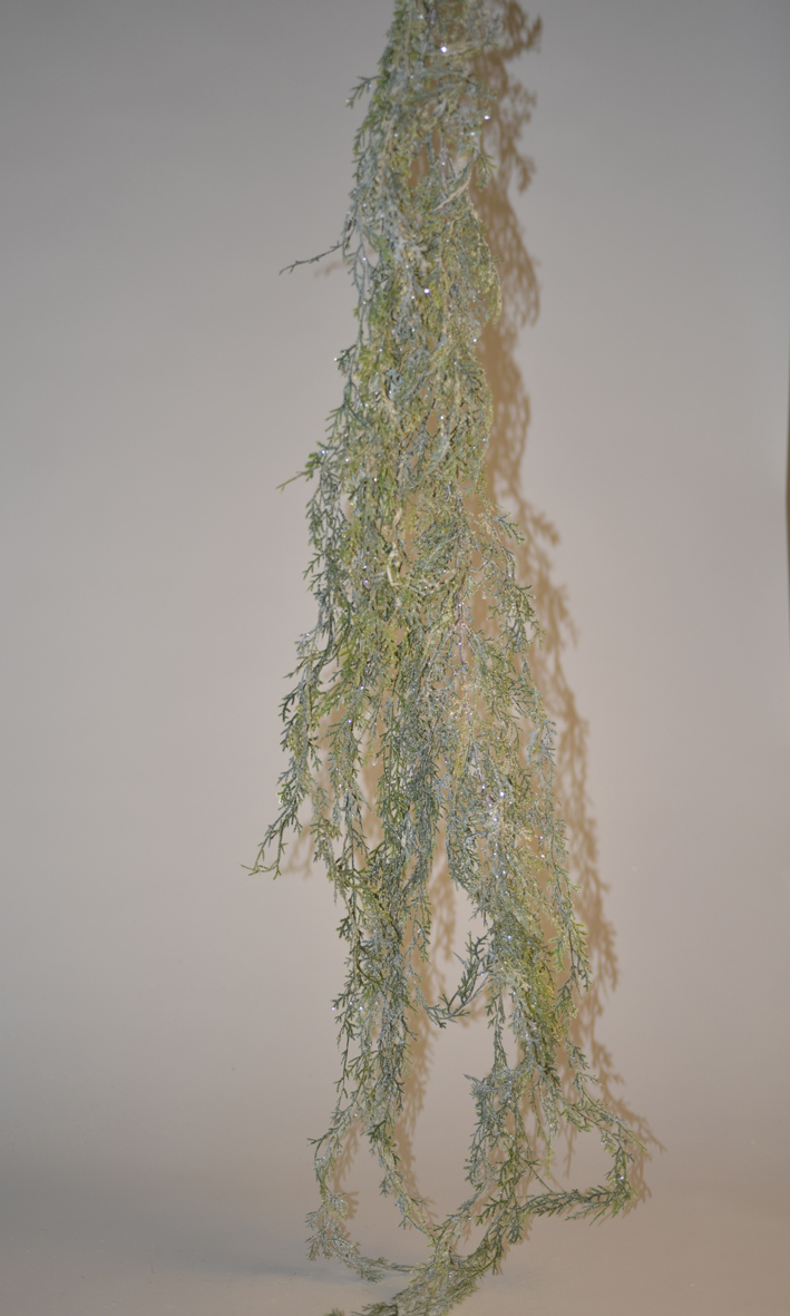 Garland fern iced