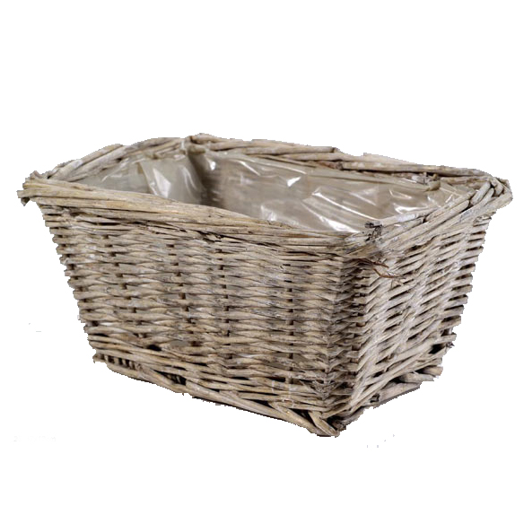 Basket willow rect.