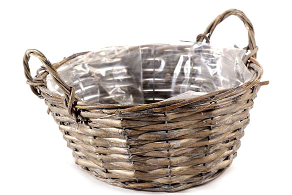Basket willow w.ears