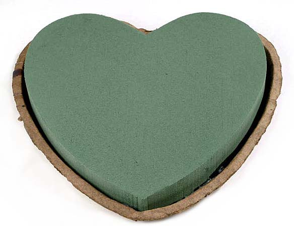 Biolit heart