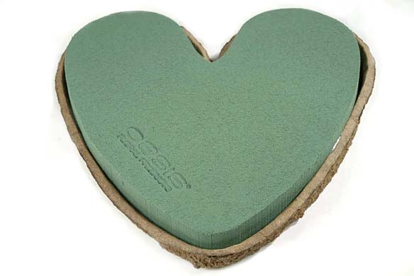 Biolit heart