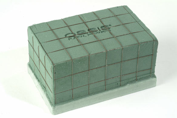 Oasis ecobase