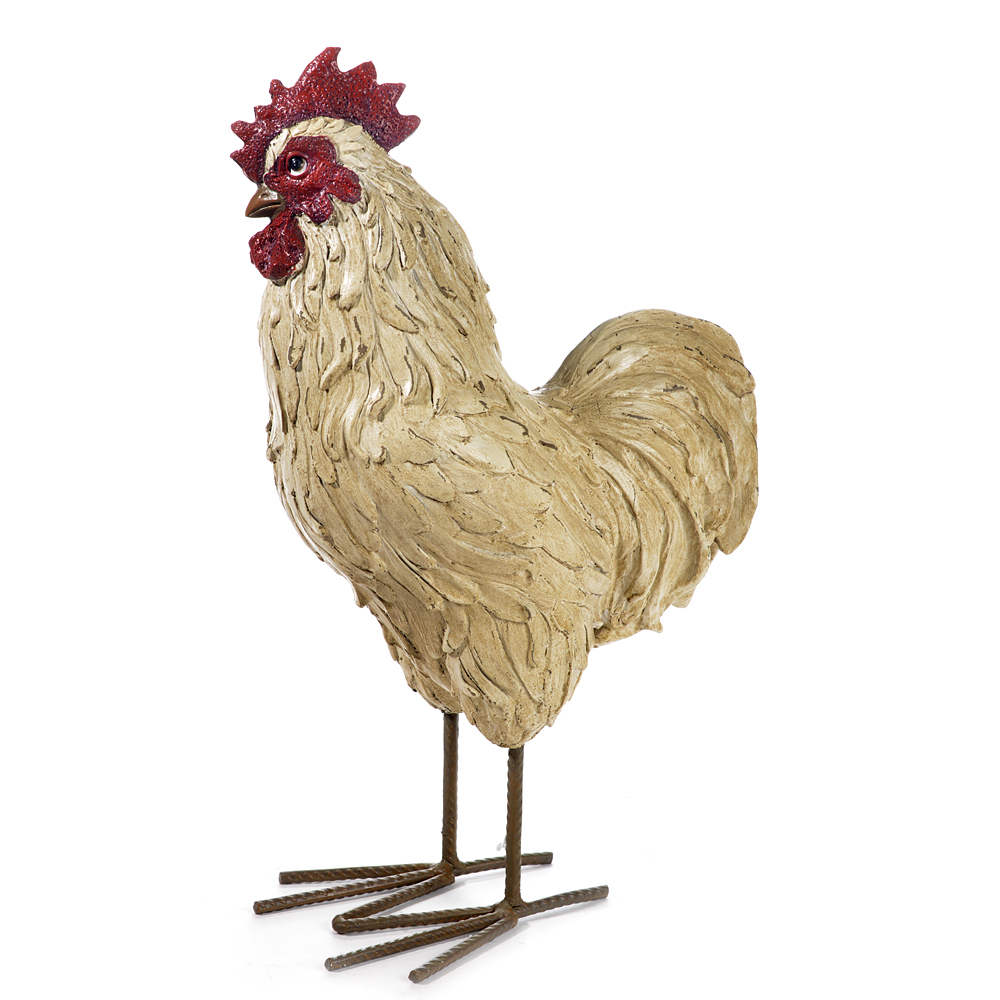 P.-rooster standing