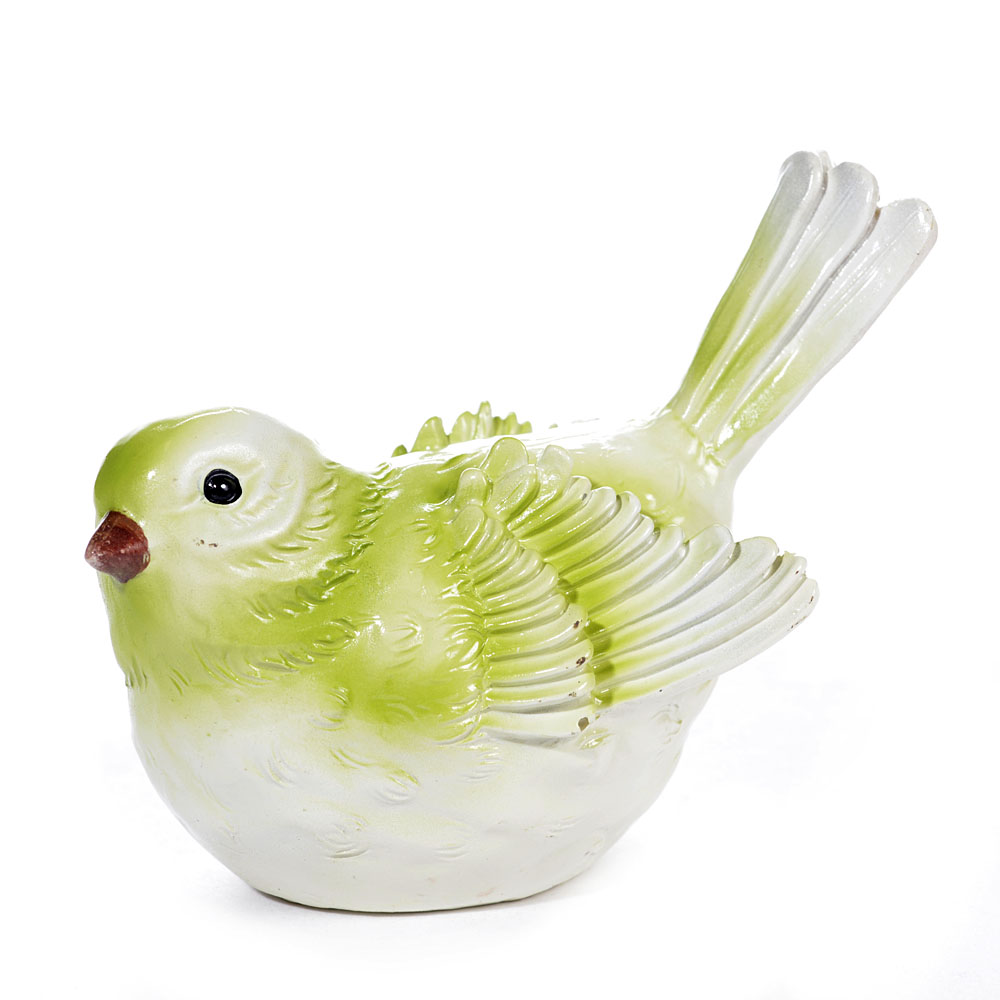 Bird med.