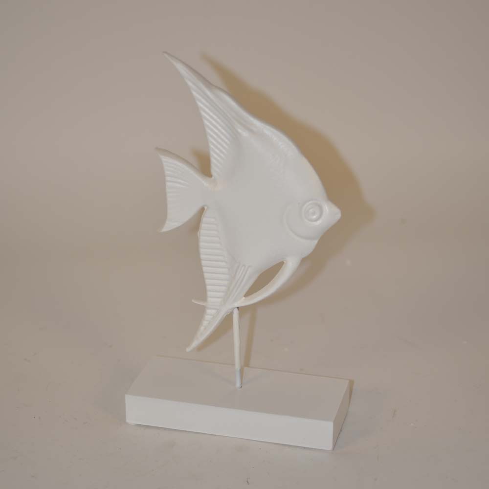 Exotic fish on stand