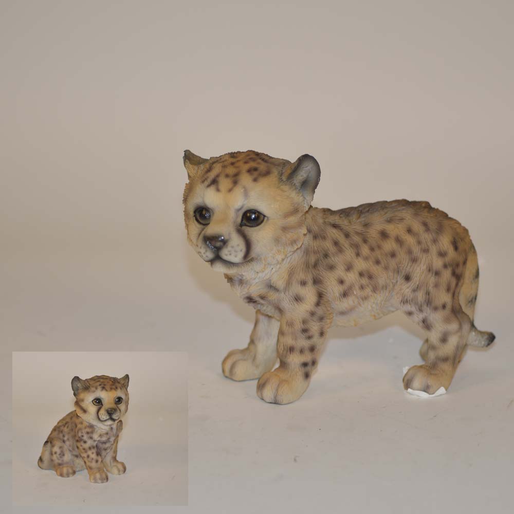 Leopard baby