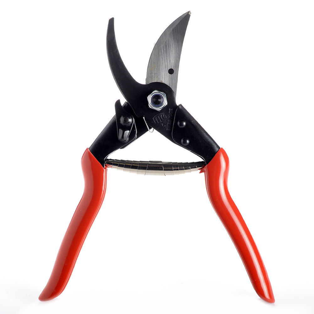 Pruning shear