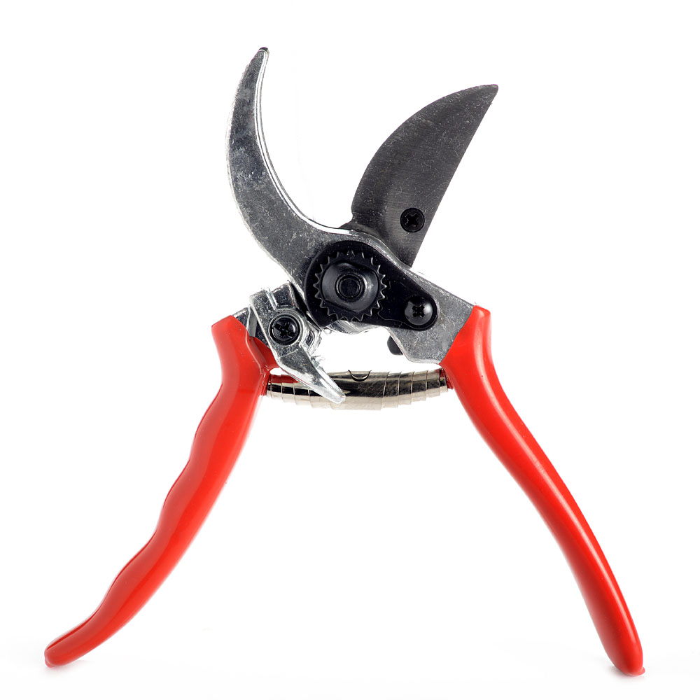 Garden shear