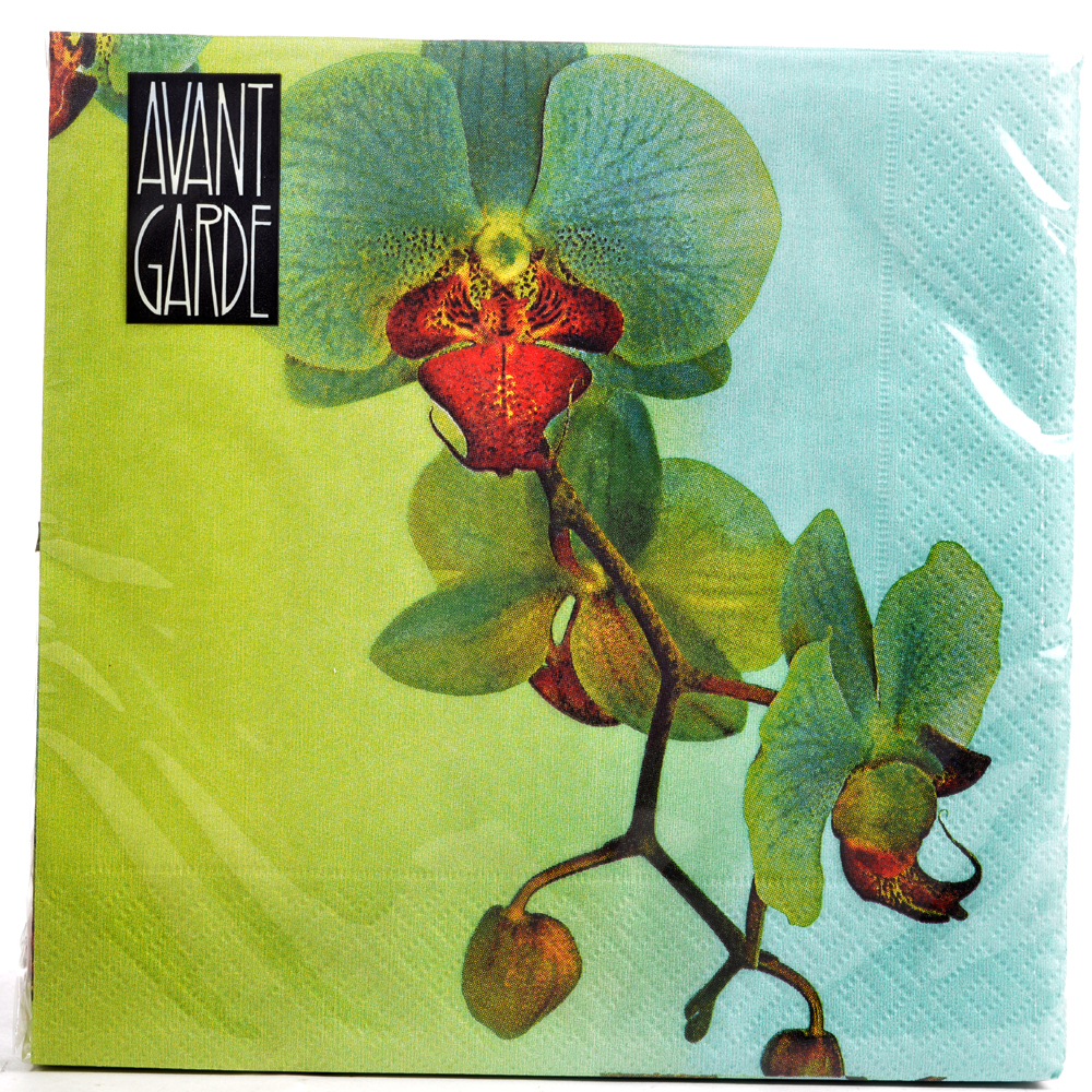 Napkin orchid