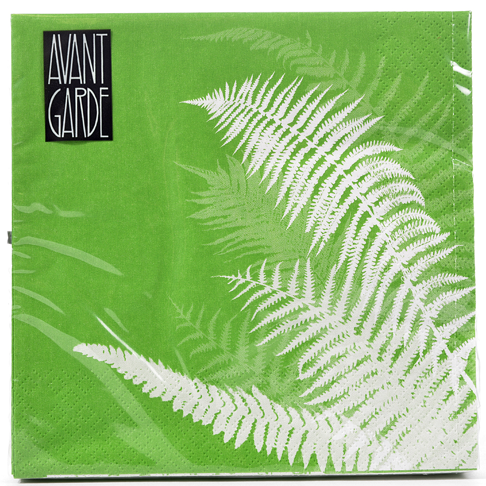Napkin fern