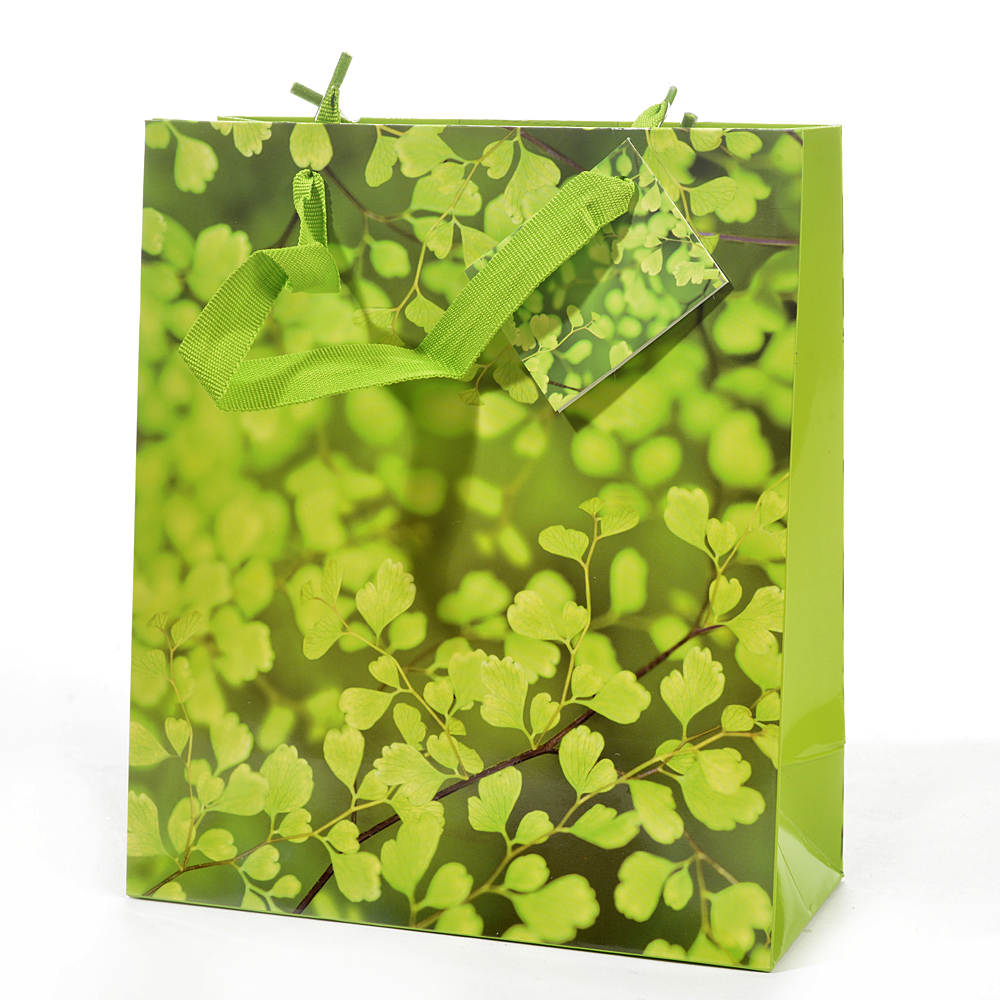 Gift bag summer