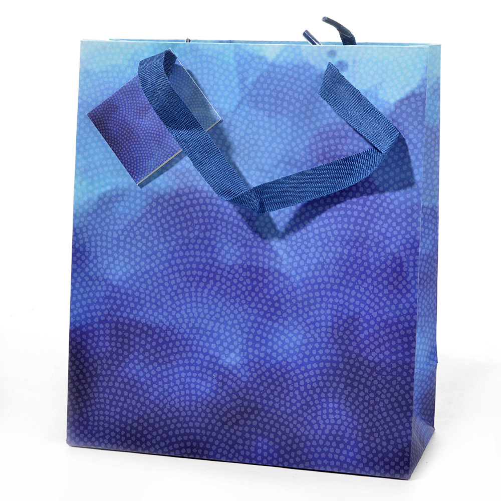 Gift bag aquarell