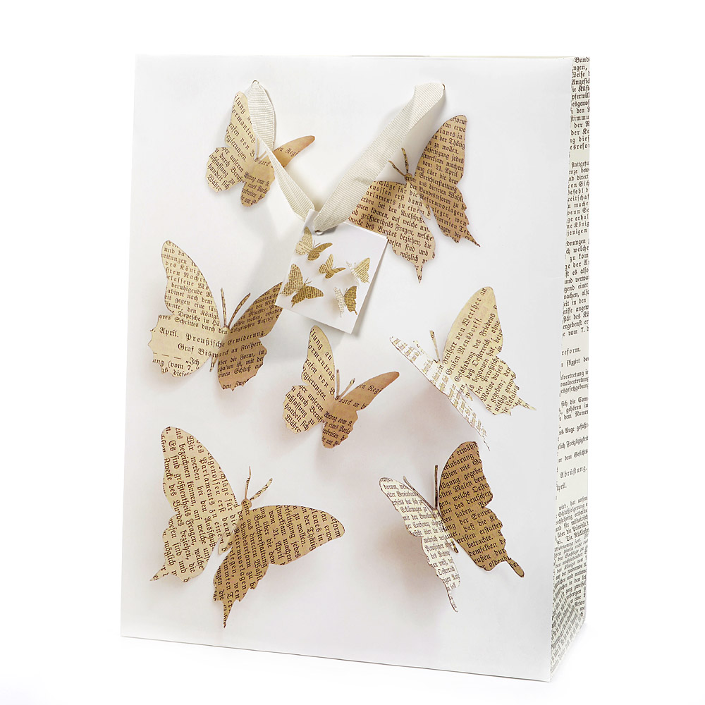 Paper bag air