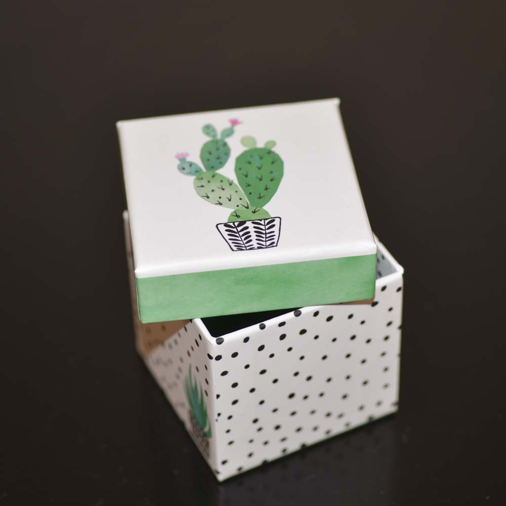 Box cactus garden