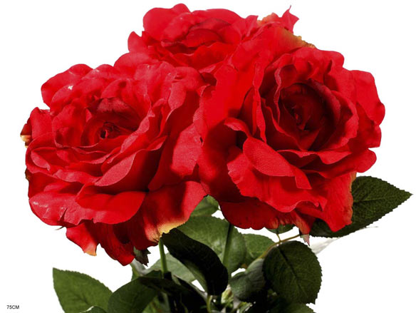 Rose spray