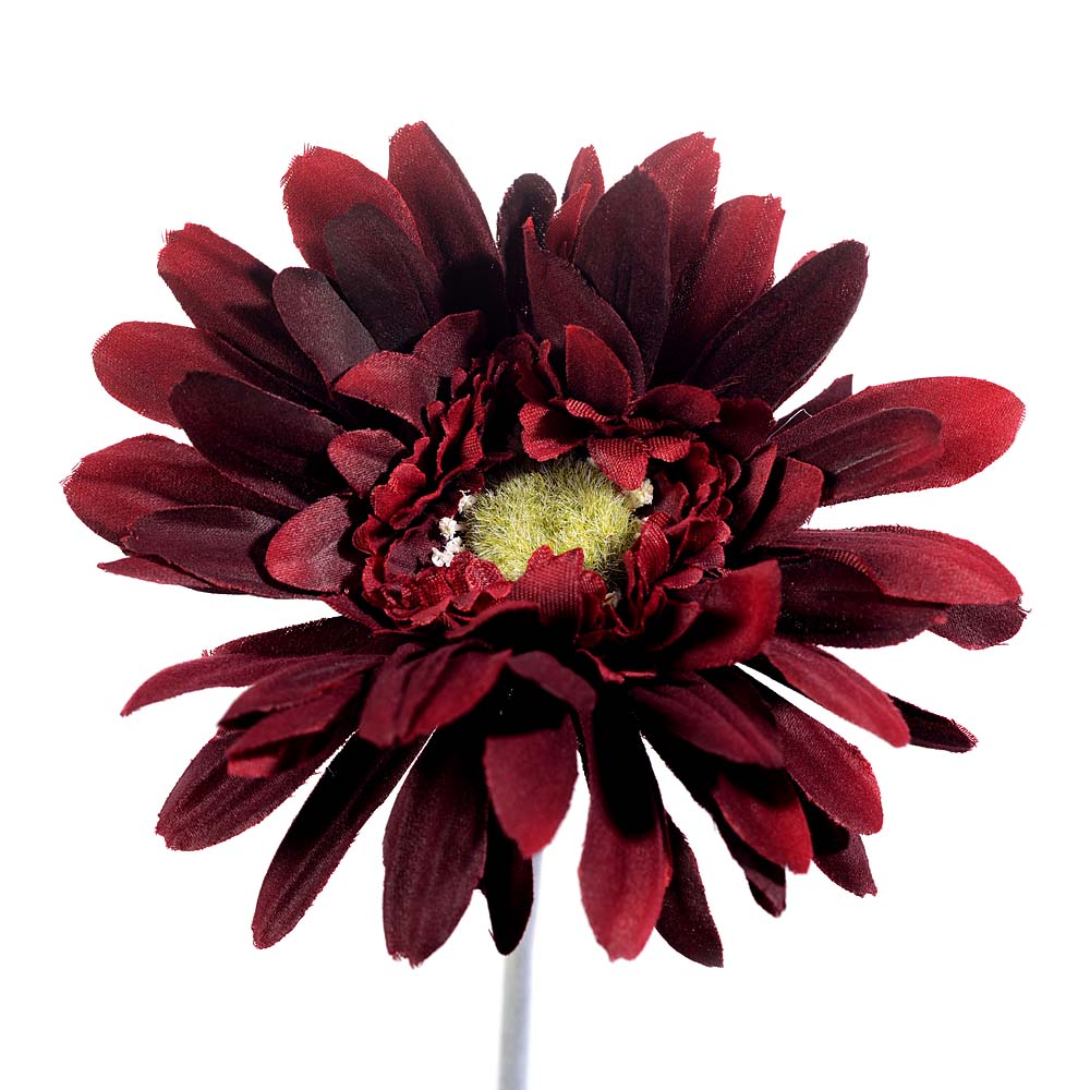 Gerbera spray x12