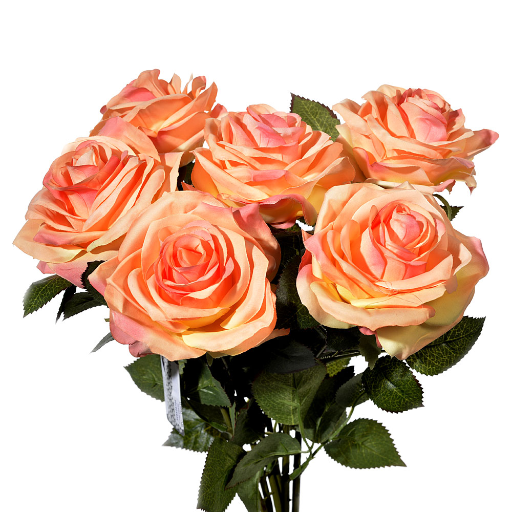 Rose dijon