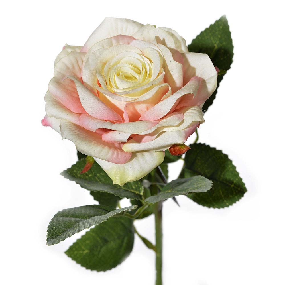 Rose pick rodin