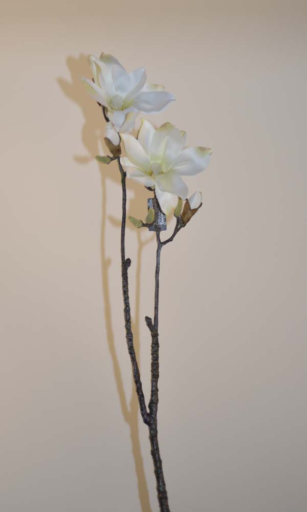 Magnolia devin spray