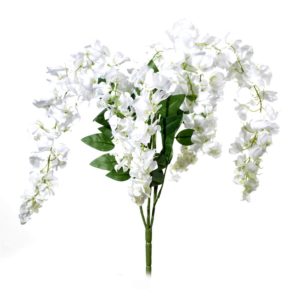 Wisteria vaiana