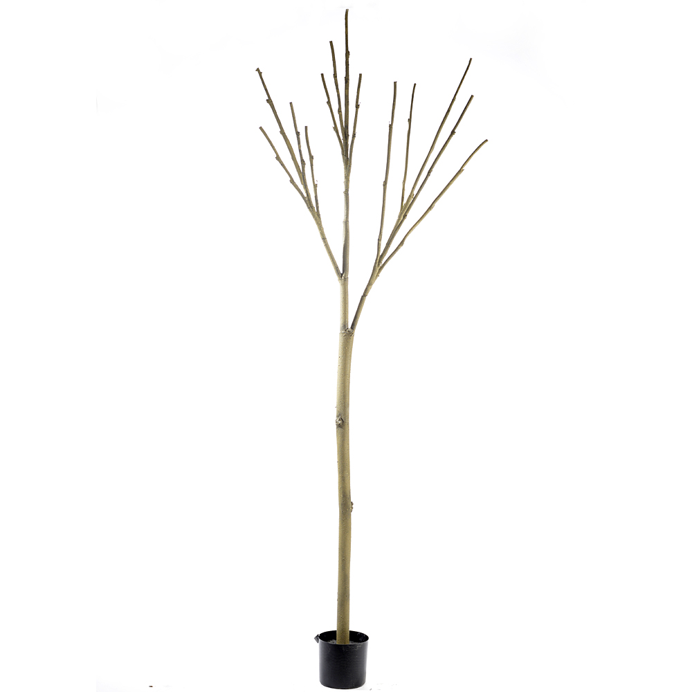 Diy tree