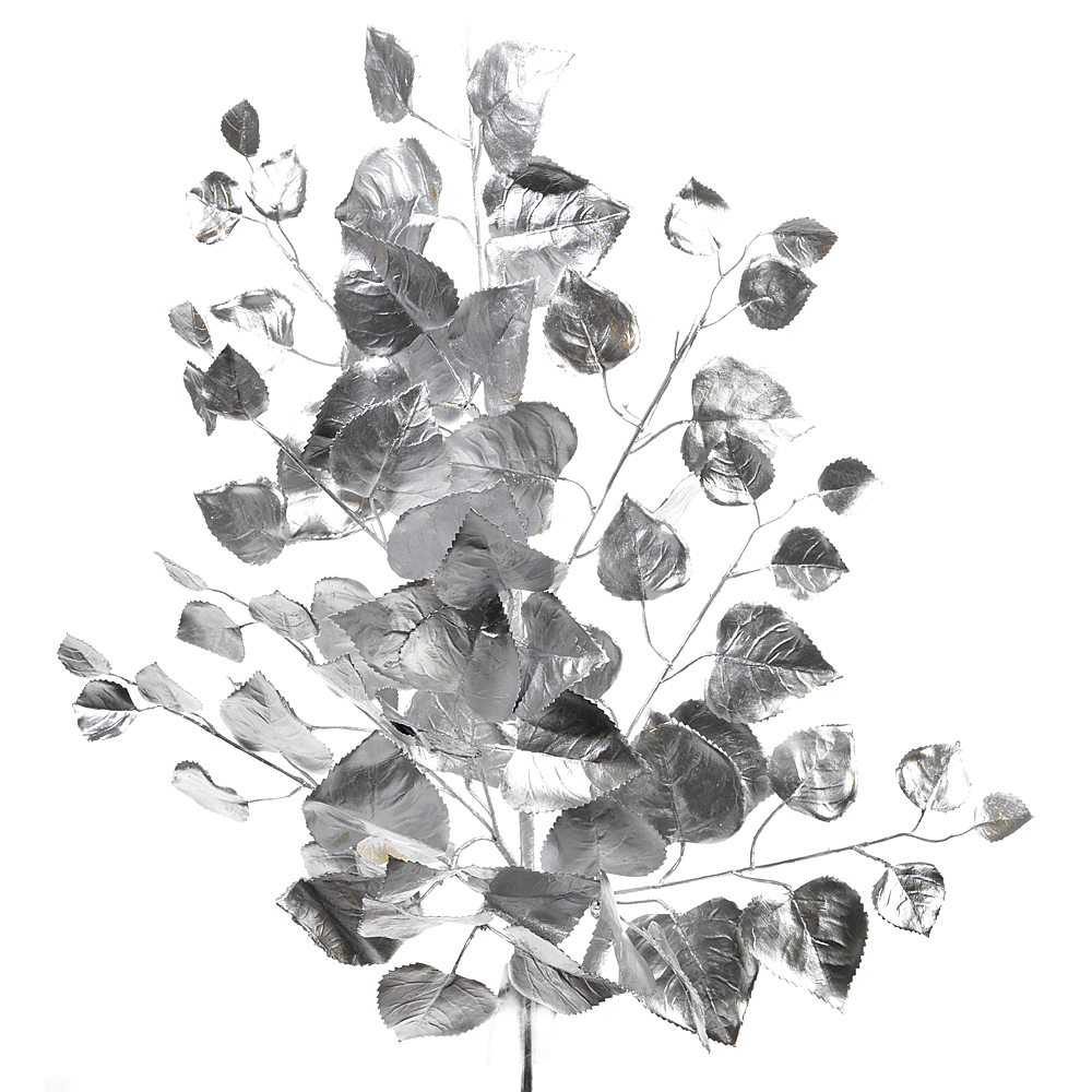 Rose leaves spray