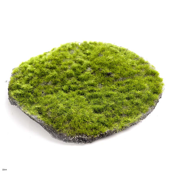 Moss circle
