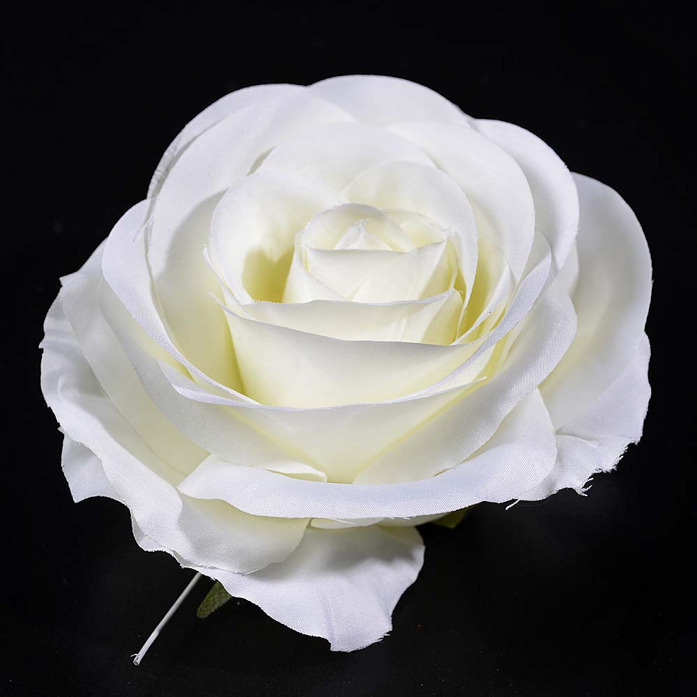 Rose head