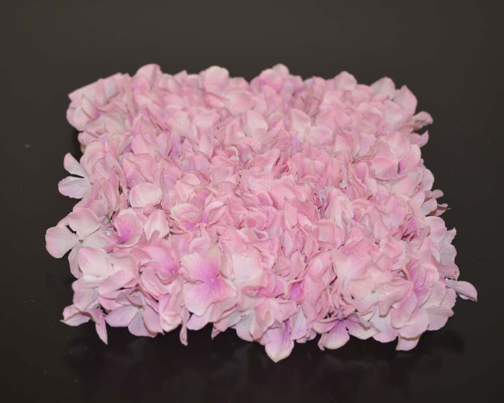 Hydrangea mat elsa