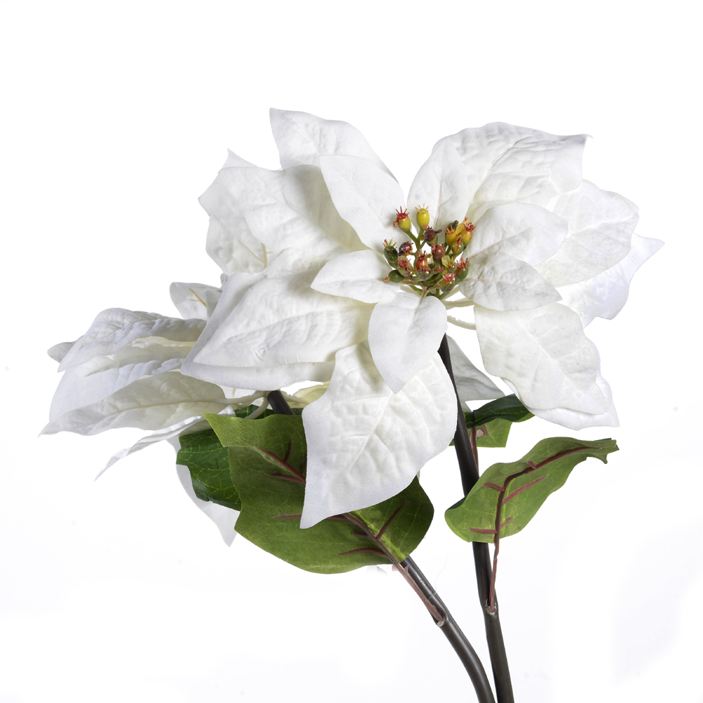 Poinsettia spray