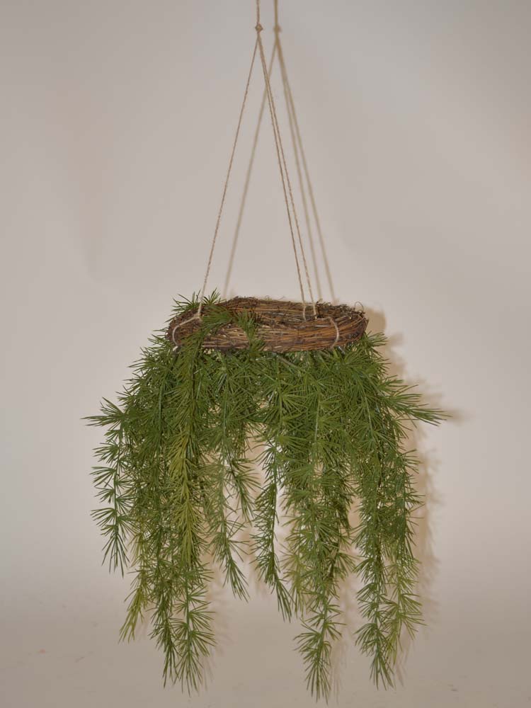 Spruce-wreath