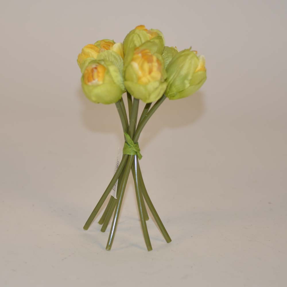 Tulip bundle x7