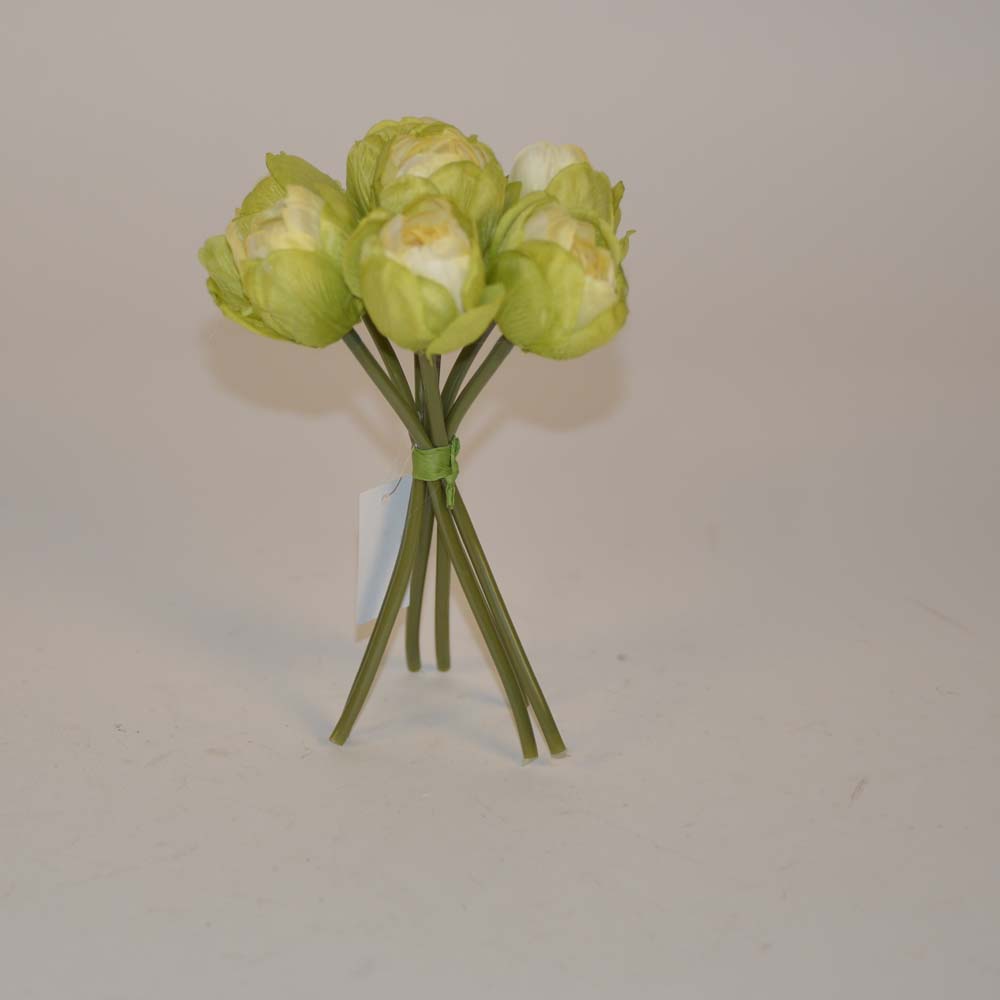 Tulip bundle x7