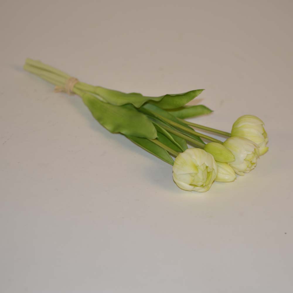 Peony-tulip bundle