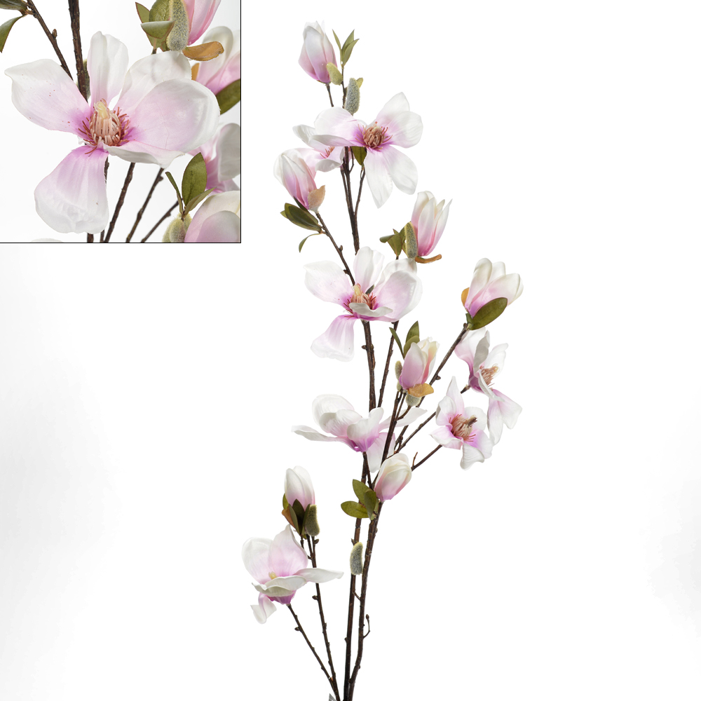 Magnolia spray x12