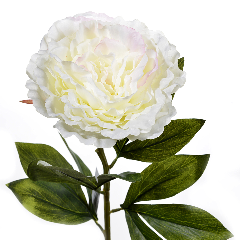 Peony spray
