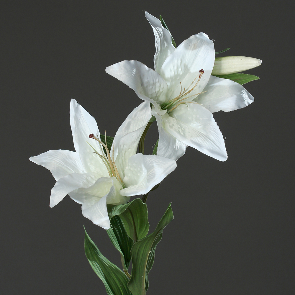 Lilium spray x2
