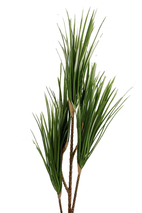 Grass (jade)
