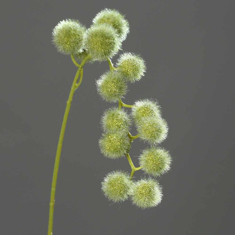 Ball grass spray