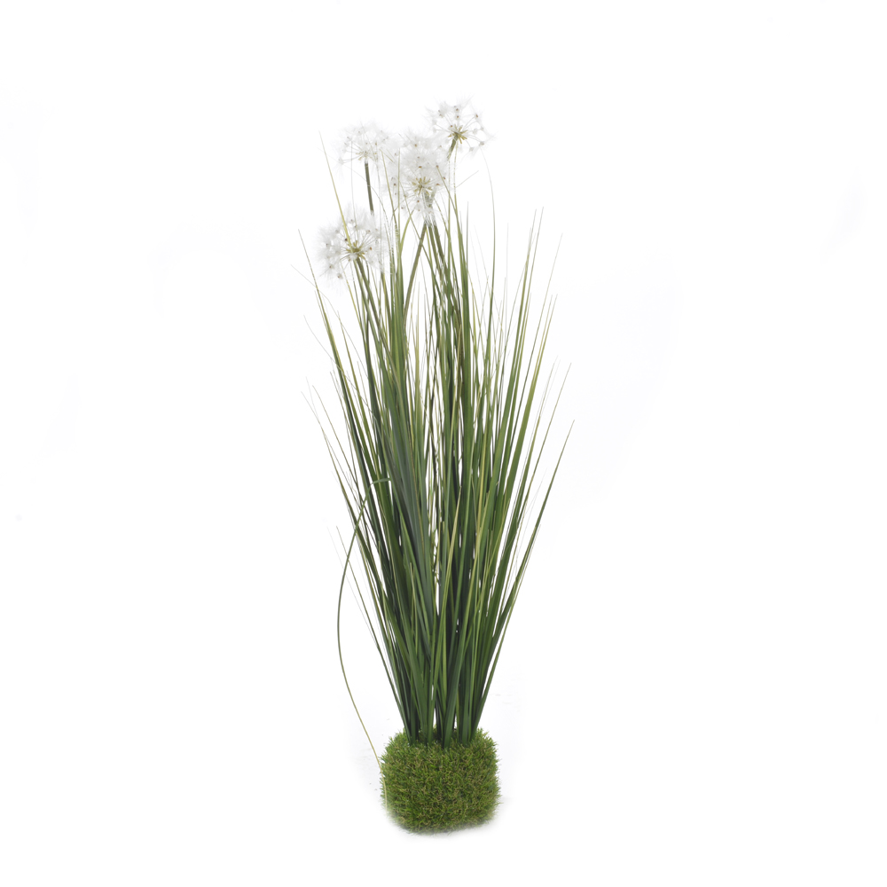 Dandelion in grass