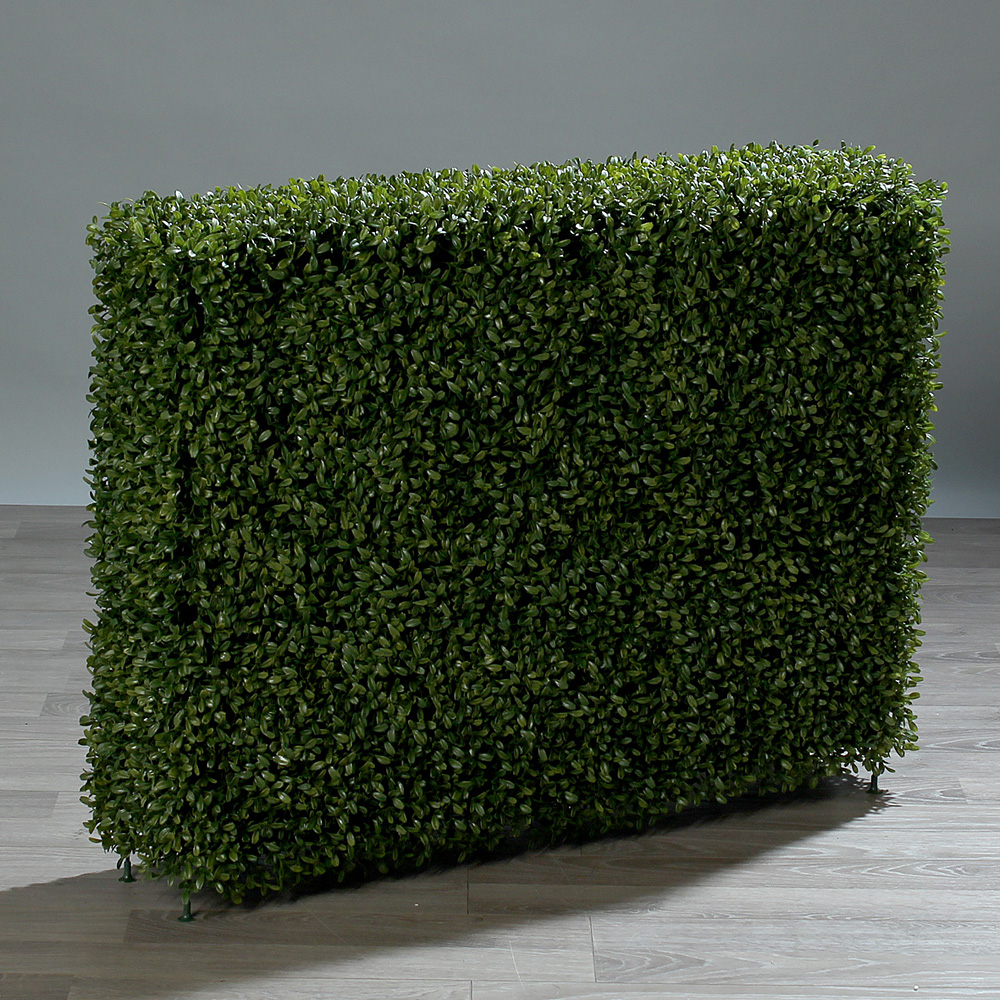 Buxus room-divider