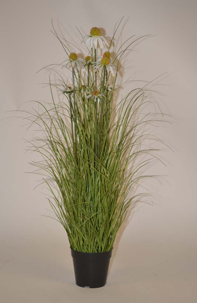 Sunflower w.grass
