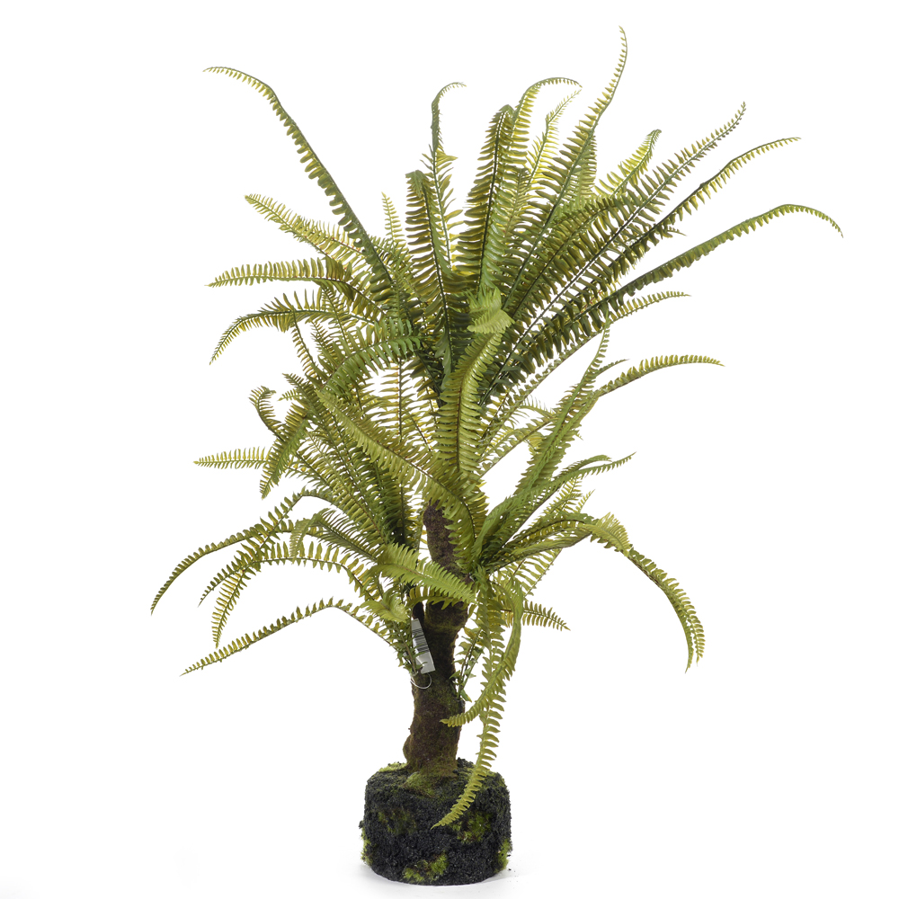 Fern in mud