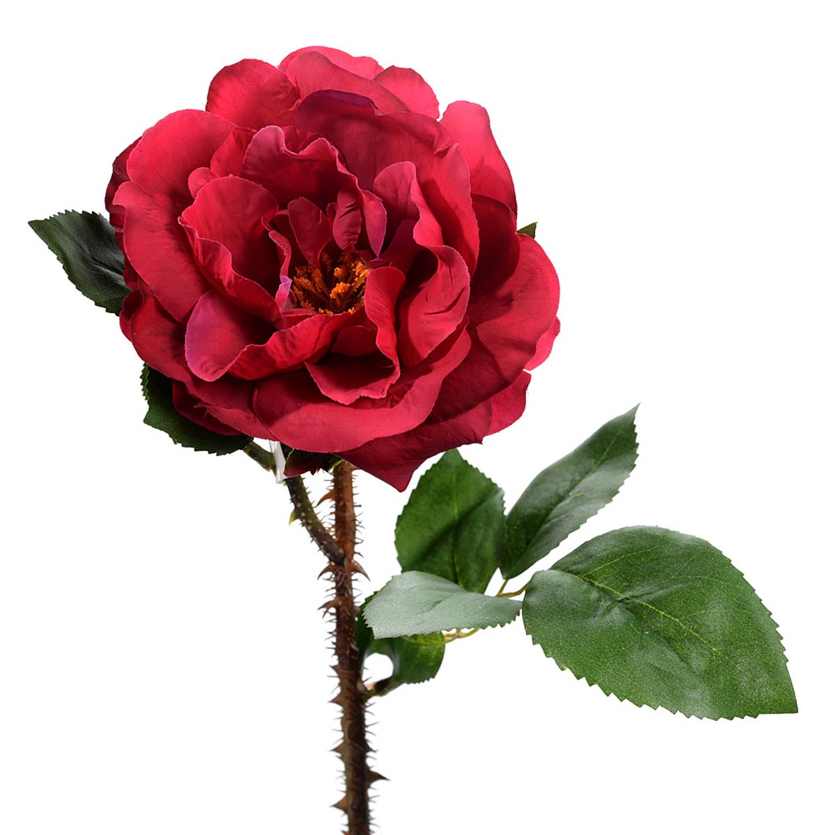 Rosa con spine