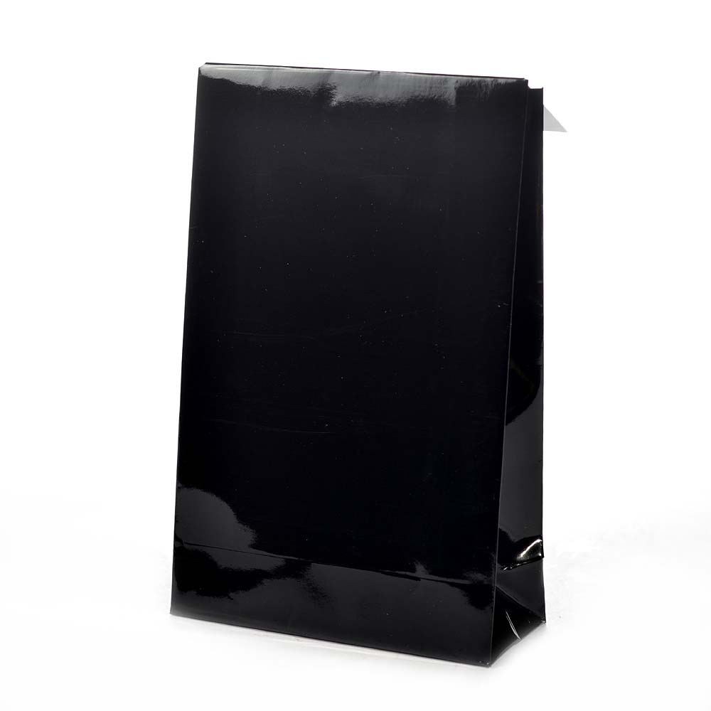 Luxe gift bag shiny