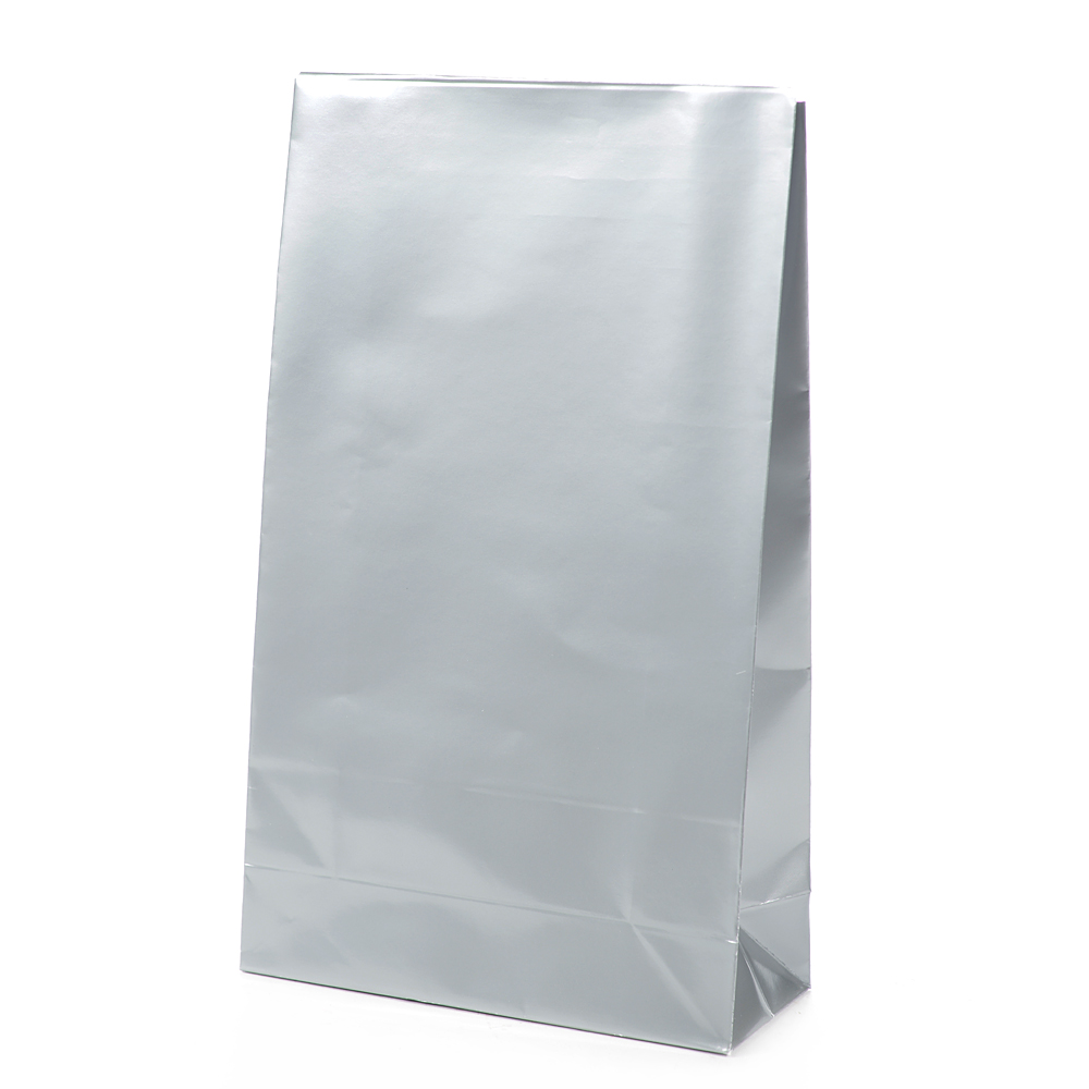Luxe gift bag shiny