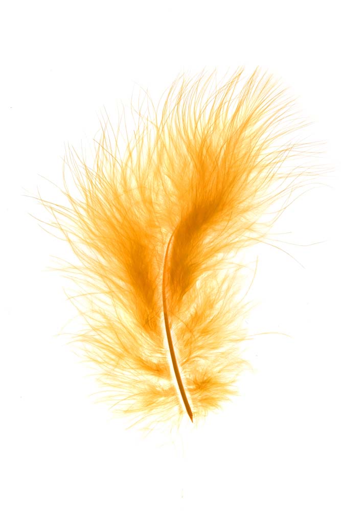 Feather marabou